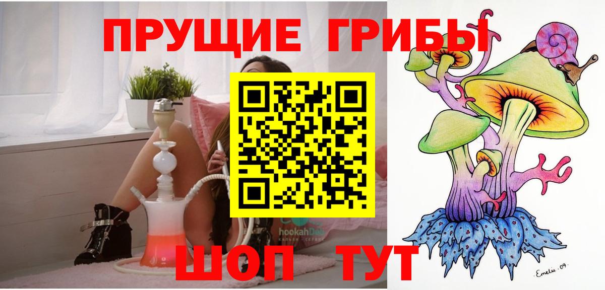 Галлюциногенные грибы GOLDEN TEACHER Кашира